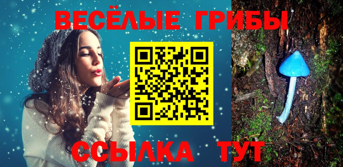 Галлюциногенные грибы прущие грибы  Вход с VPN  Нижний Новгород 